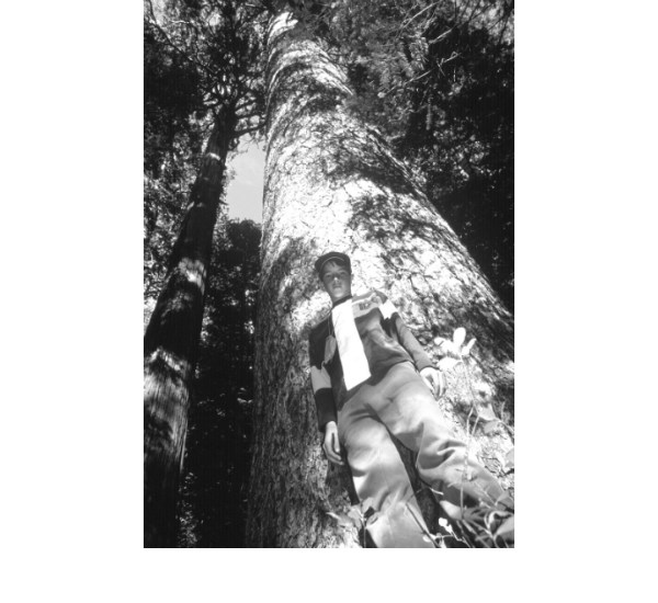 A young boy stands in front of one of the large trees in the Inimim Forest