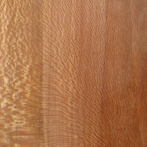 Sycamore Wood swatch