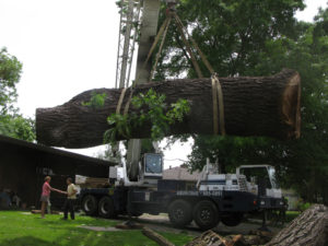 We removed a large native California walnut to use in our custom live edge tables & chairs