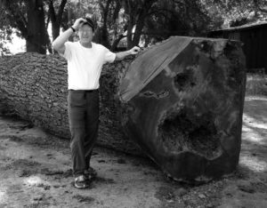 Robert Erickson displays a native California after removal from a client's yard