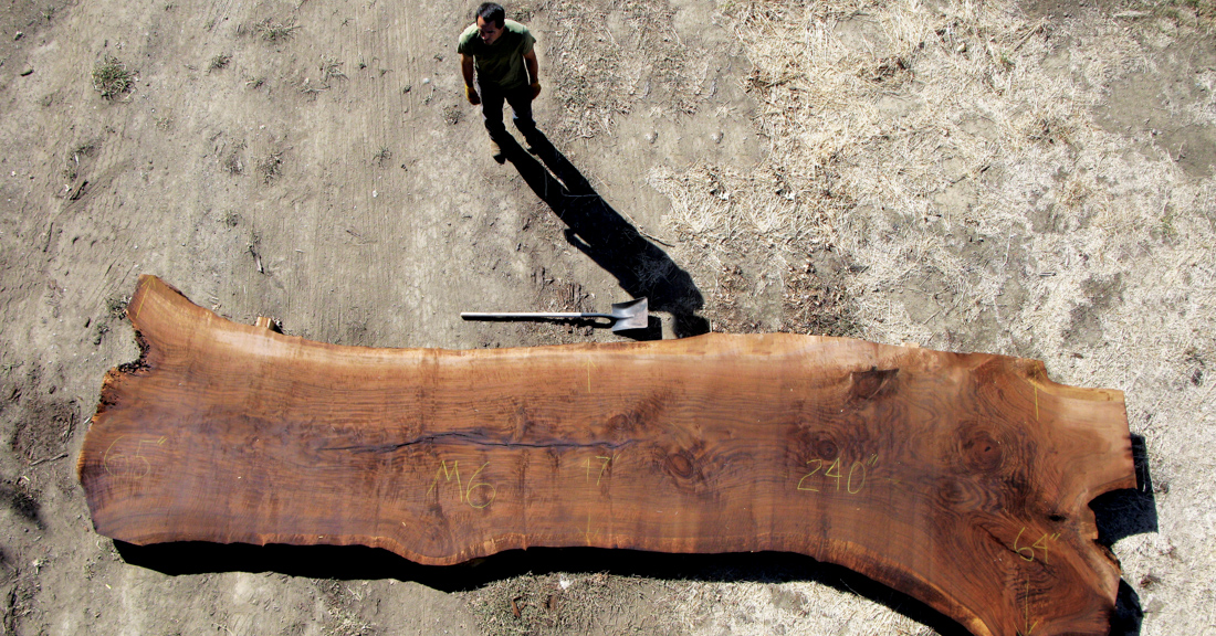 Sourcing natural wood for live edge table